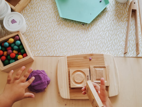 QTOYS - Wooden Geo Shapes Tracing Board